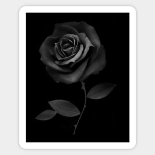 Beautiful Black Rose Flower Sticker